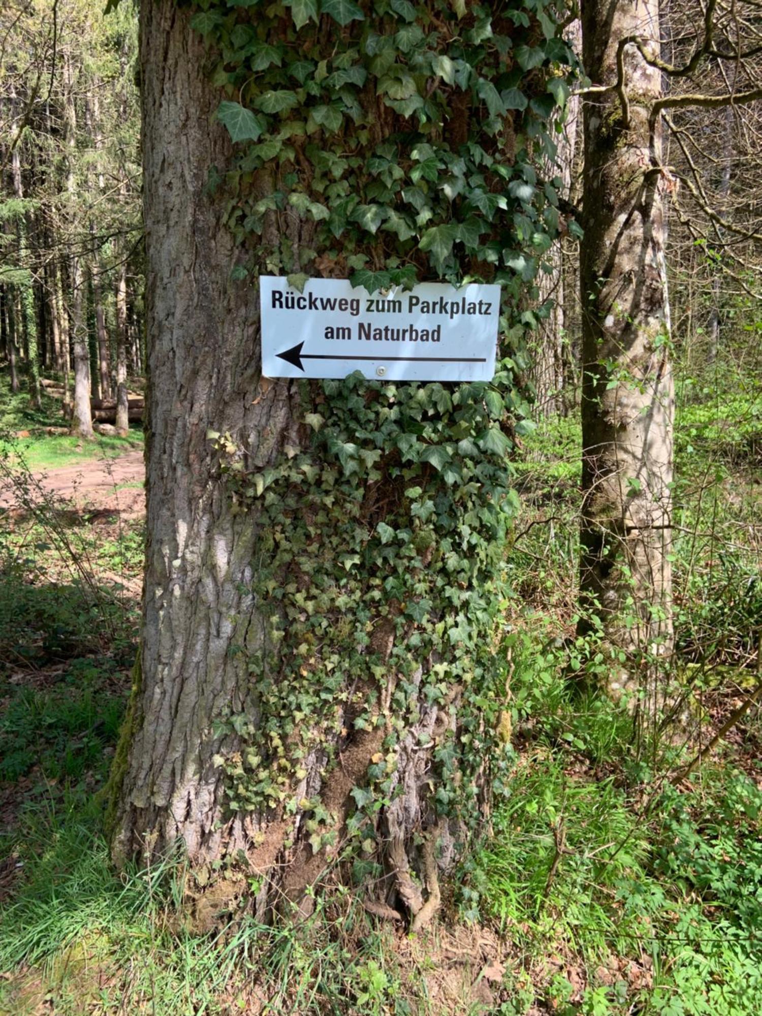 Appartement Sulzbachtal In Lahr, Naehe Europapark, Naehe Rulantica Lahr  Exteriör bild