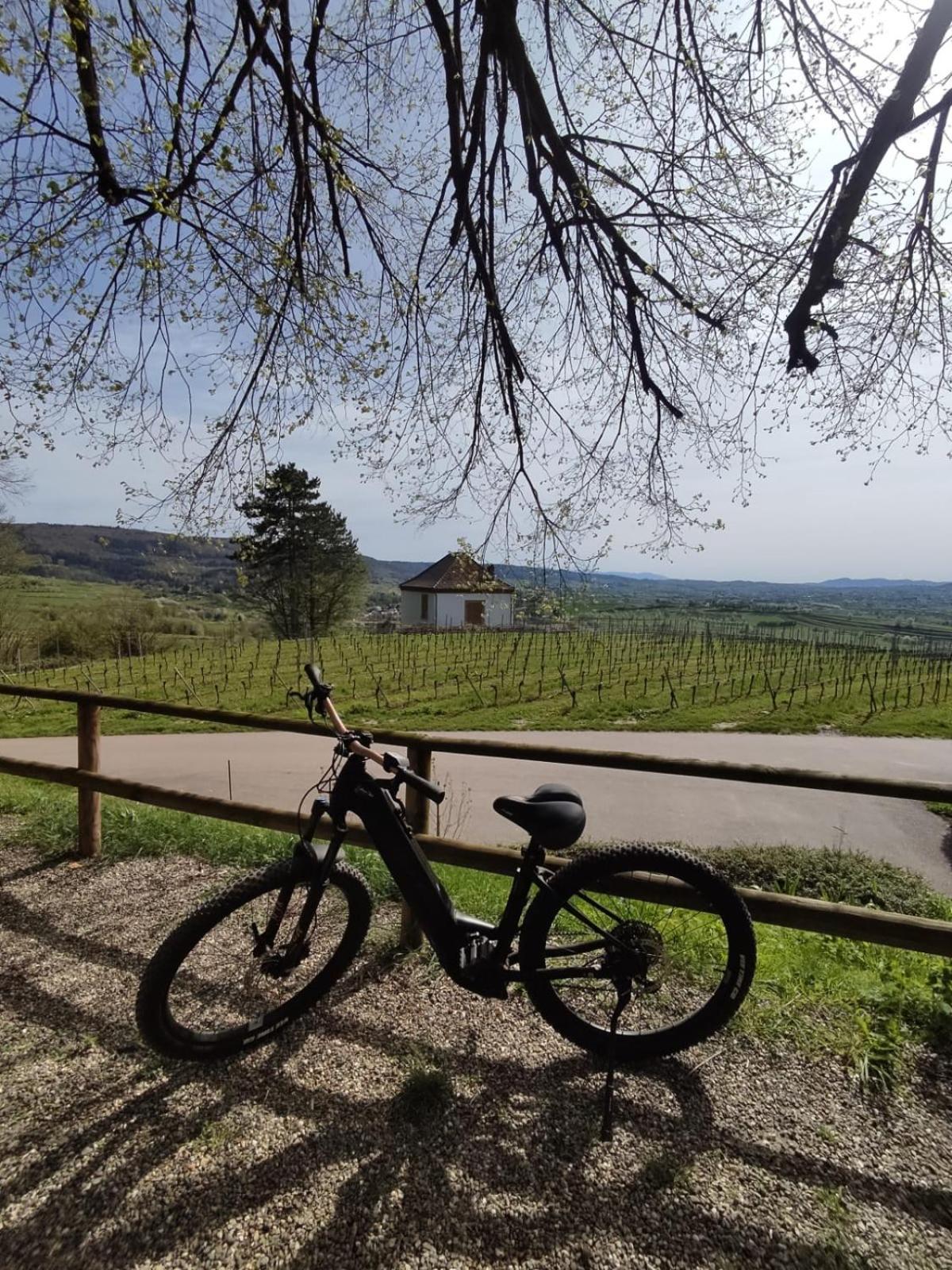 Appartement Sulzbachtal In Lahr, Naehe Europapark, Naehe Rulantica Lahr  Exteriör bild